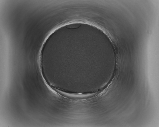 X0000116871519200912221355