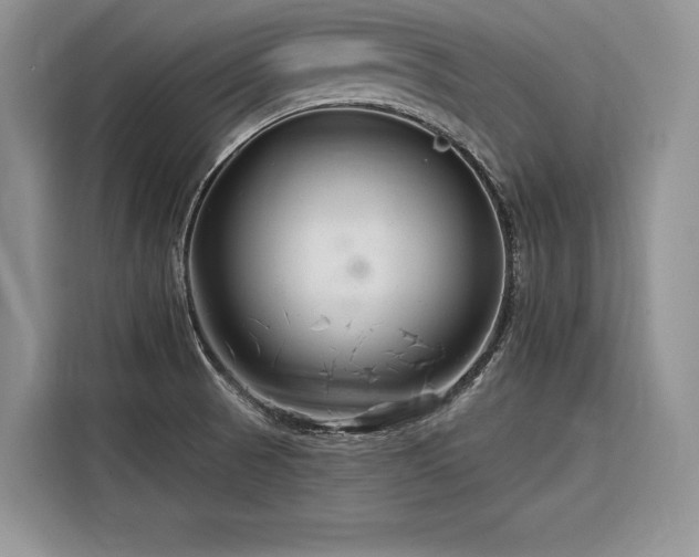 X0000116871521200912221355