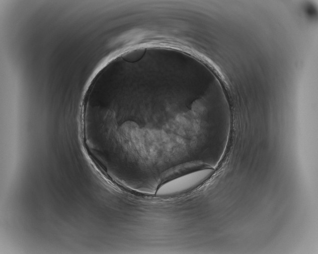 X0000116871522200912221355