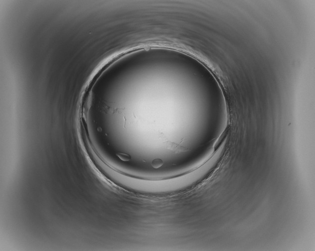X0000116871523200912221355