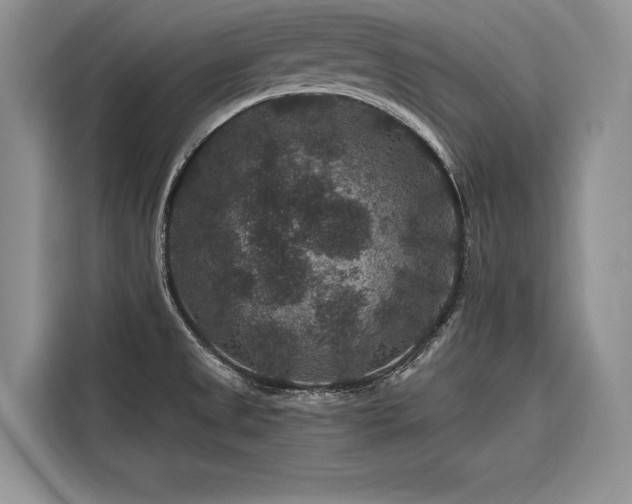 X0000116871525200912221355