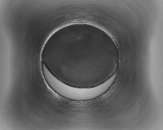 X0000116871527200912221356