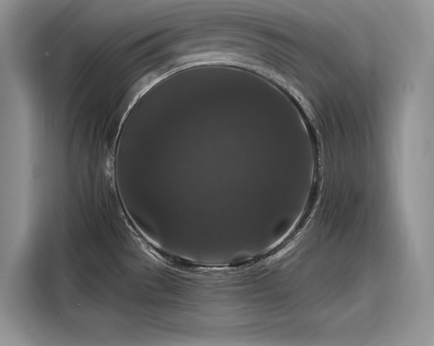 X0000116871529200912221356