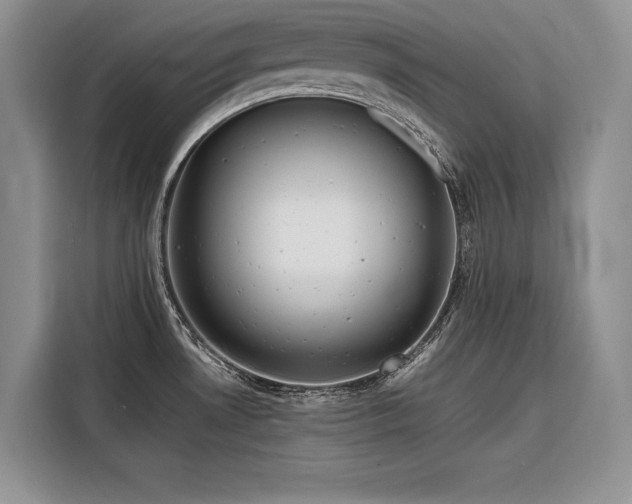 X0000116871530200912221356