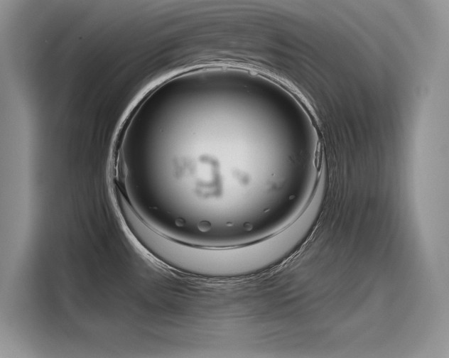 X0000116871531200912221356