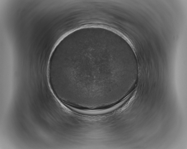X0000116871533200912221356