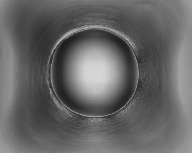 X0000116871534200912221356