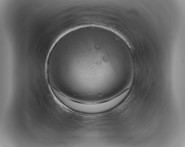X0000116871535200912221356