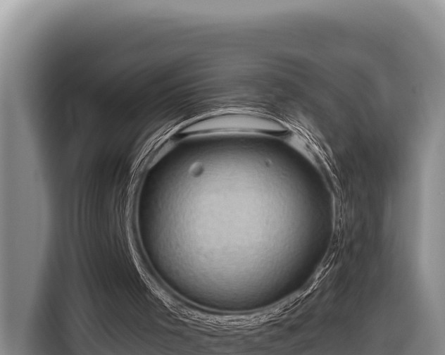 X0000116870001200912291329