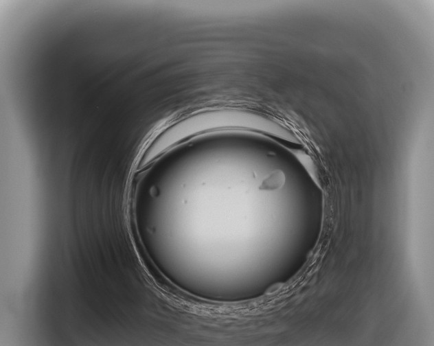 X0000116870003200912291329