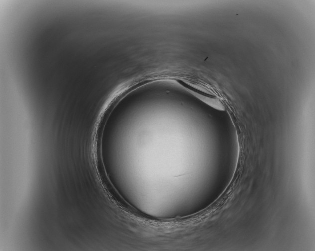 X0000116870006200912291329