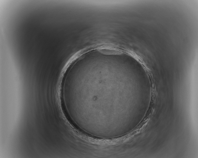 X0000116870007200912291329