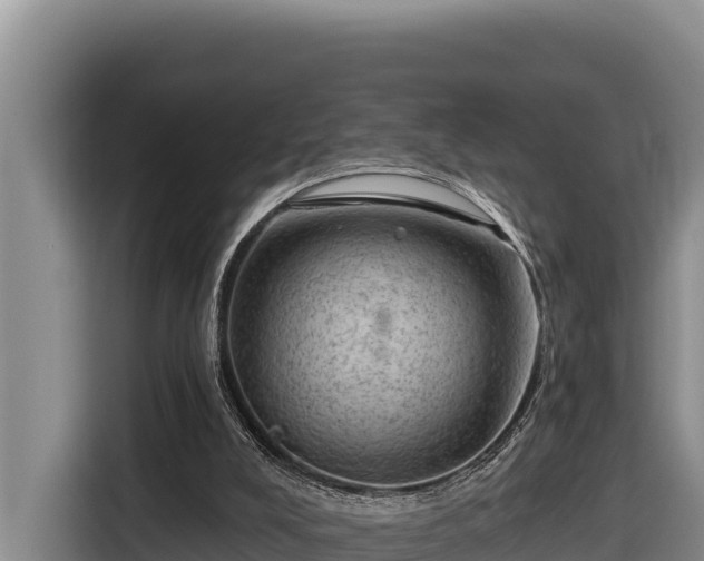 X0000116870008200912291329