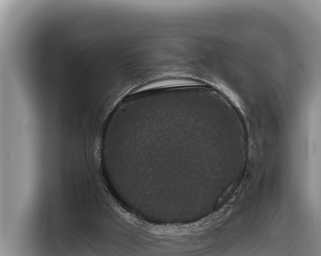 X0000116870009200912291329