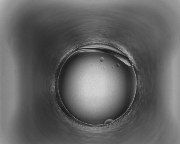 X0000116870010200912291328