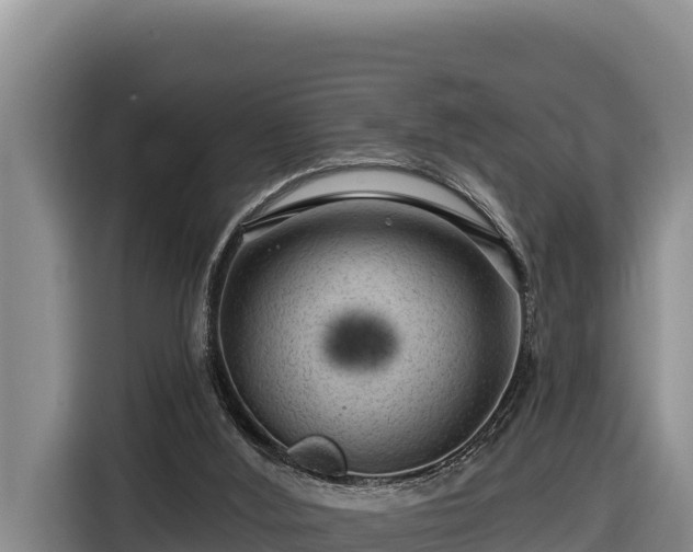 X0000116870012200912291328