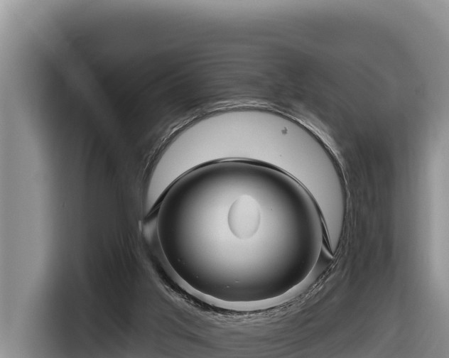 X0000116870013200912291328