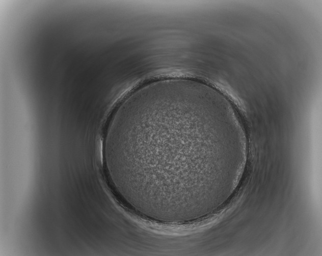 X0000116870014200912291328