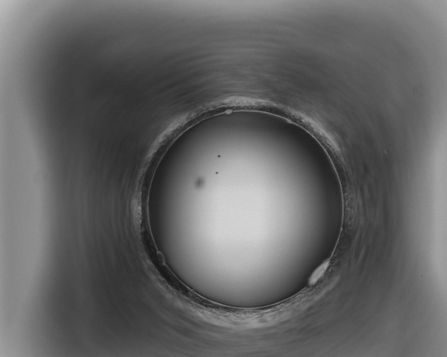 X0000116870015200912291328
