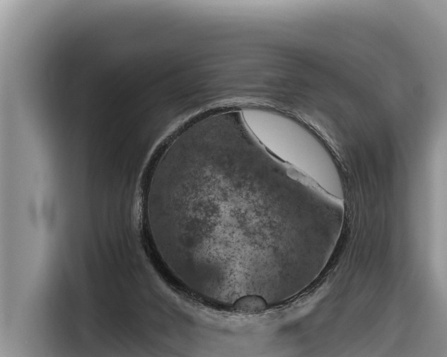 X0000116870016200912291328