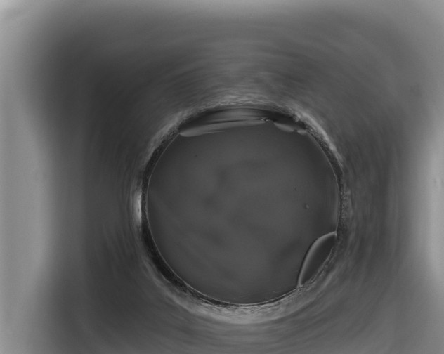 X0000116870019200912291328