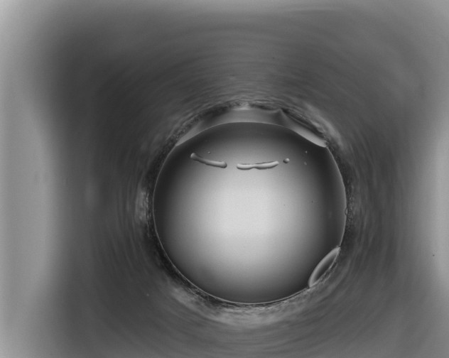 X0000116870025200912291328