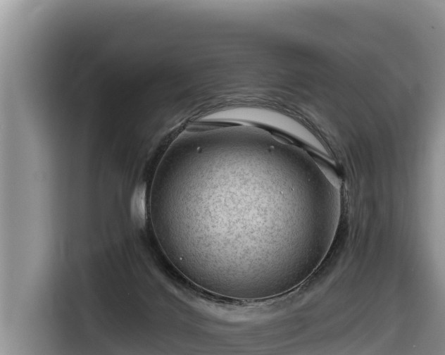 X0000116870028200912291328