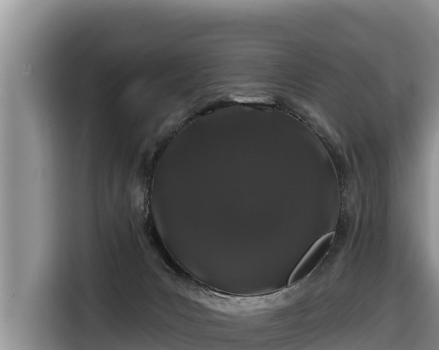 X0000116870031200912291328
