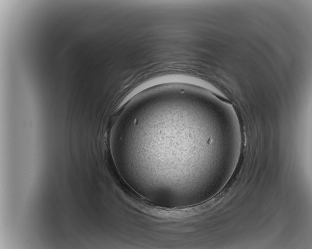 X0000116870036200912291328