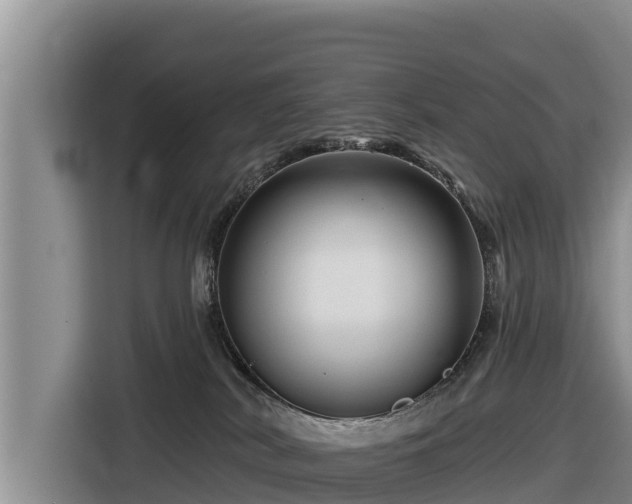 X0000116870038200912291328