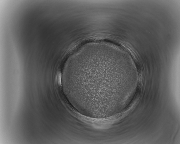 X0000116870046200912291328