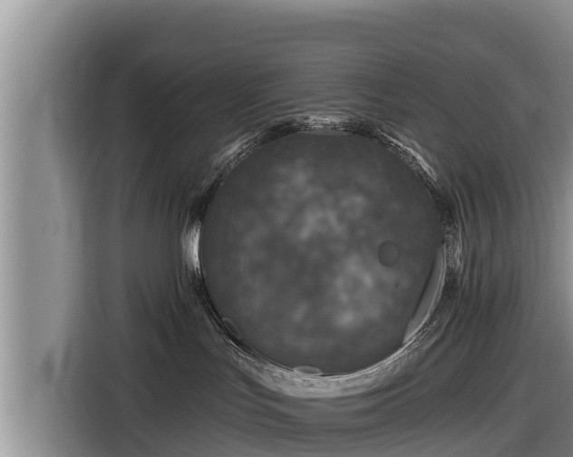 X0000116870047200912291328