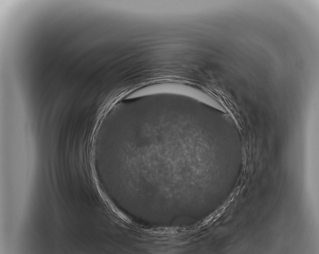 X0000116870049200912291327