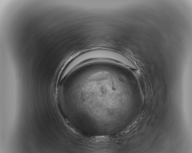 X0000116870050200912291327