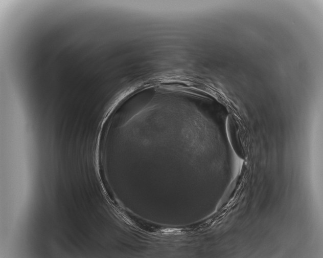 X0000116870052200912291327