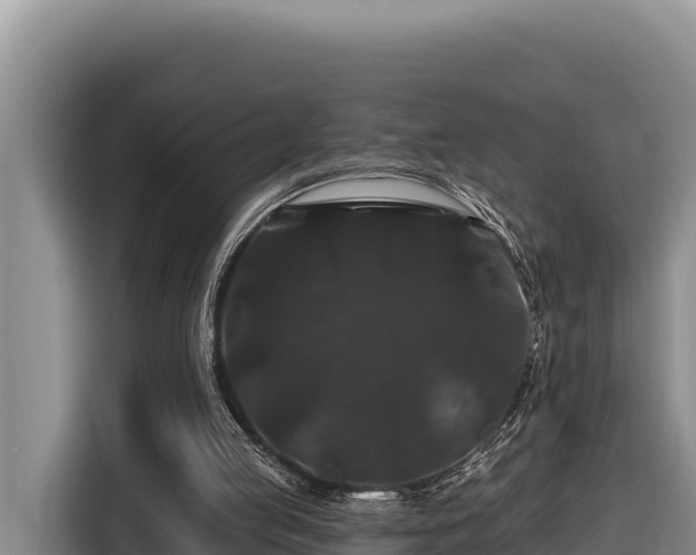 X0000116870053200912291327