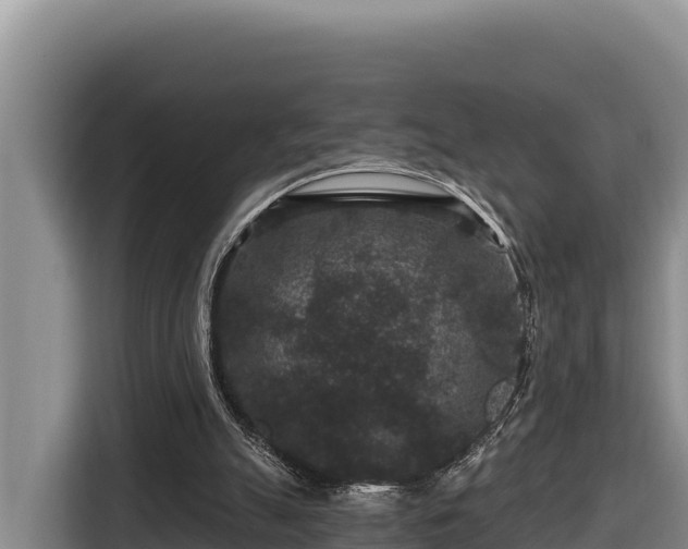 X0000116870055200912291327