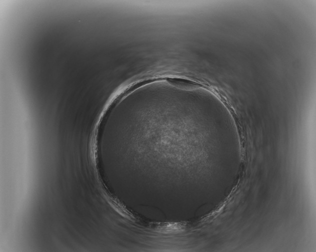 X0000116870056200912291327