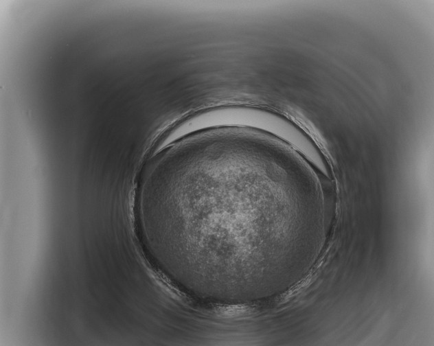 X0000116870058200912291327