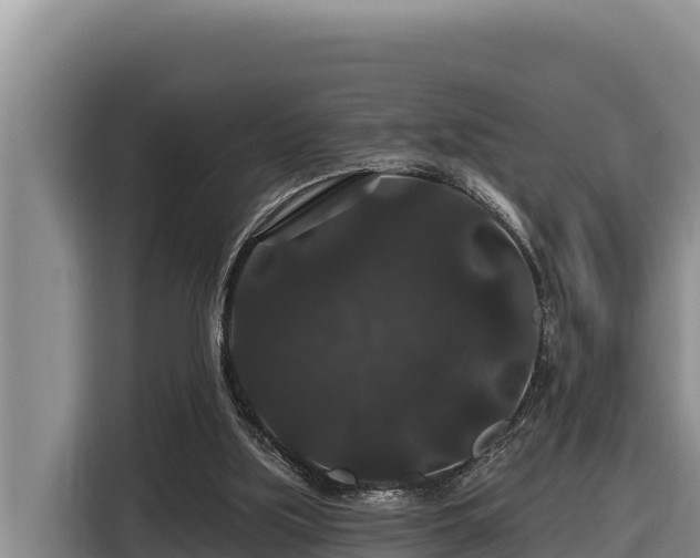 X0000116870059200912291328