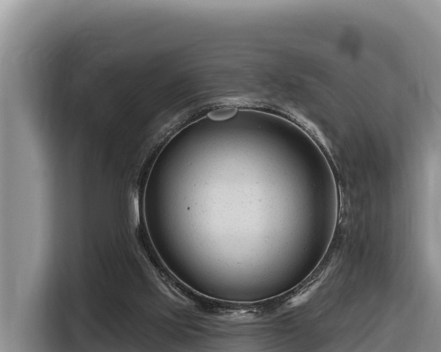 X0000116870061200912291328