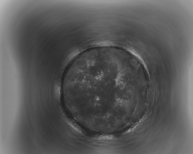 X0000116870063200912291328