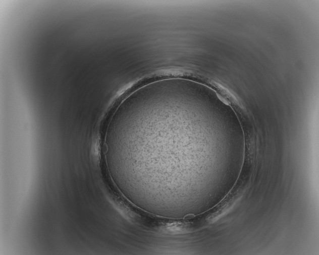 X0000116870064200912291328