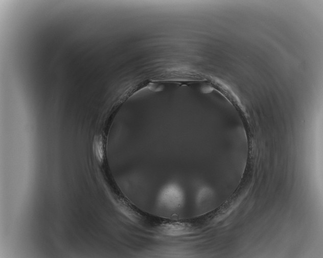 X0000116870069200912291328