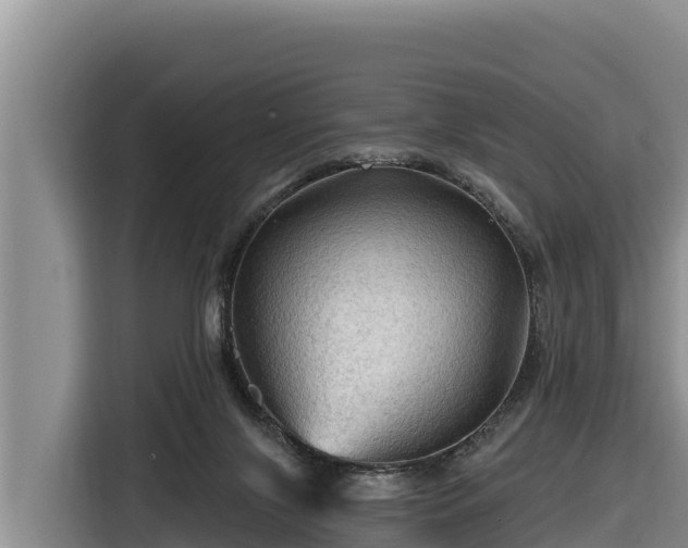 X0000116870071200912291328