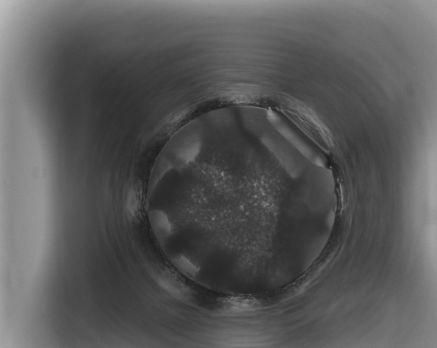X0000116870073200912291328
