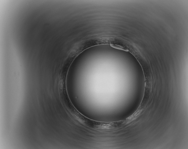X0000116870086200912291328