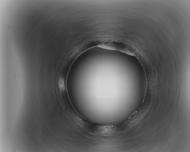 X0000116870089200912291328