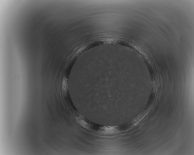 X0000116870093200912291328
