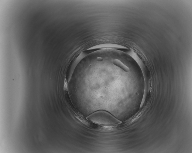 X0000116870095200912291328